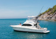 Blue Belle charter